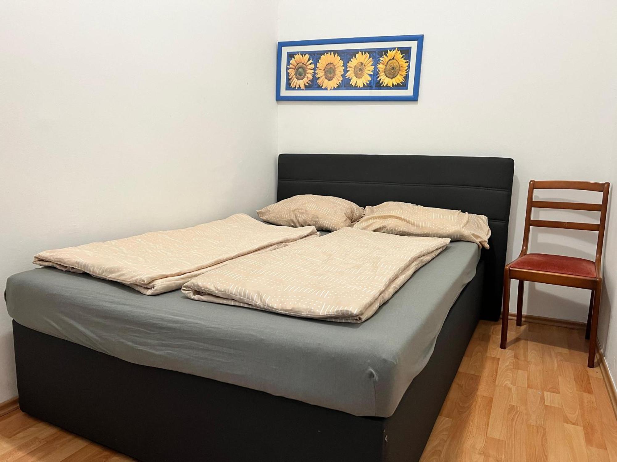 Cozy 2br Apt- Near Danube River Wien